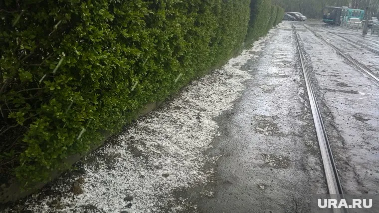 Снег заметили на улицах городов Свердловской области