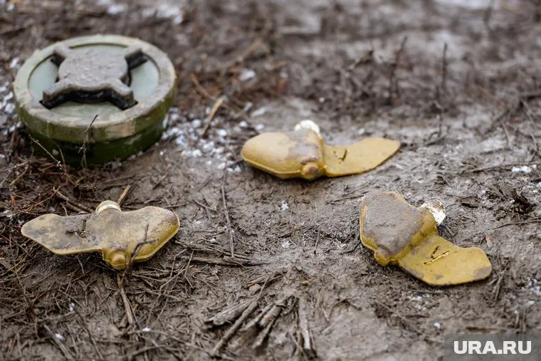 Бетонные укрепления Украины чередуются минными полями, отметил Александр Широкорад