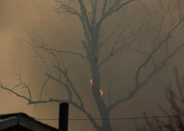 Фотография из галереи