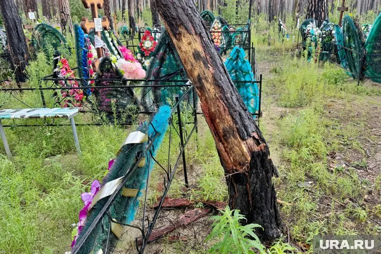 На кладбище под Курганом падают горелые деревья