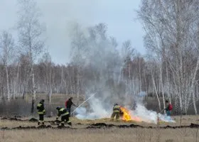 Составлен прогноз лесных пожаров на июнь: в зоне риска уральские регионы