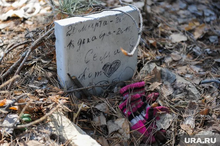 Угонщик торопился на похороны кота (архивное фото)