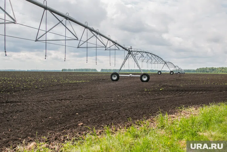 Курганский депутат-аграрий доверил руководящую должность судимому экс-чиновнику