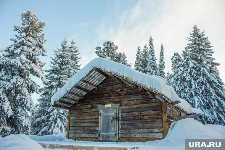 Мужчины будут жить в охотничьем домике в лесу