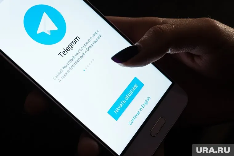 Необходимо рассмотреть возможность взять Telegram под защиту, заявил Сергей Миронов