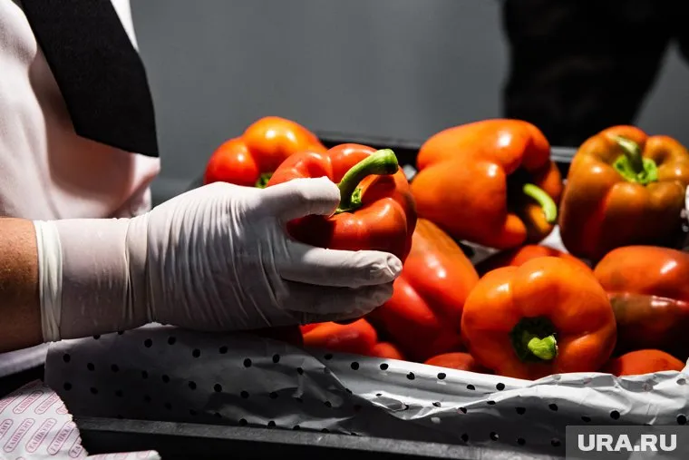 Курганская область подписала соглашение о сотрудничестве с Ферганской областью республики Узбекистан