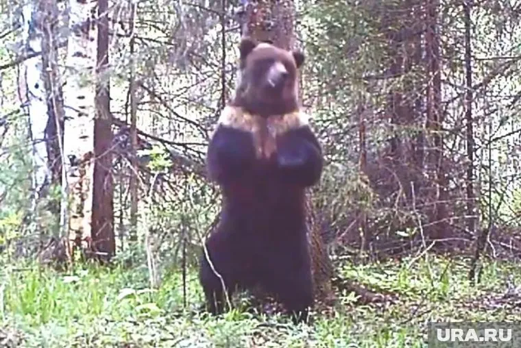 У героя ролика — необычная раскраска