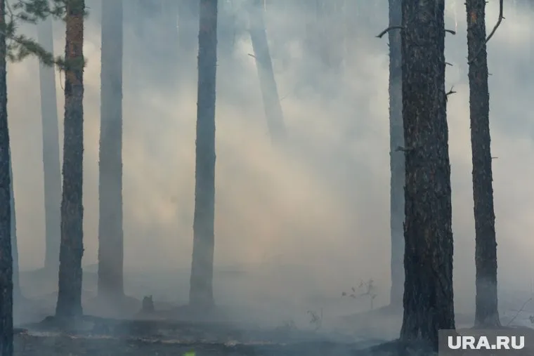 На тушение пожара привлечены все силы экстренных служб города