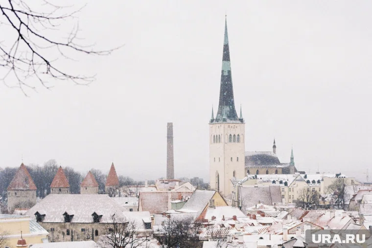 В Эстонии недовольны тем, что в стране остались школы, в котором учат русскому