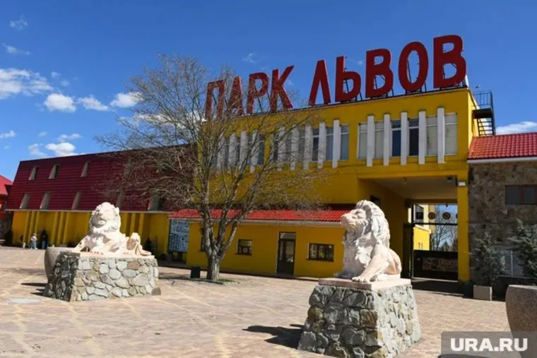  Состояние Зубкова, на которого напал лев, удалось стабилизировать