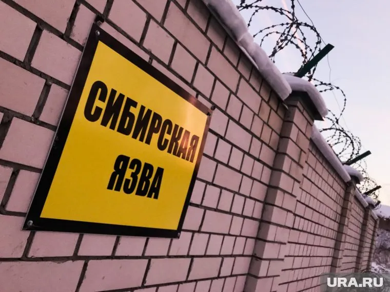 Сибиреязвенный могильник не был принят в собственность края