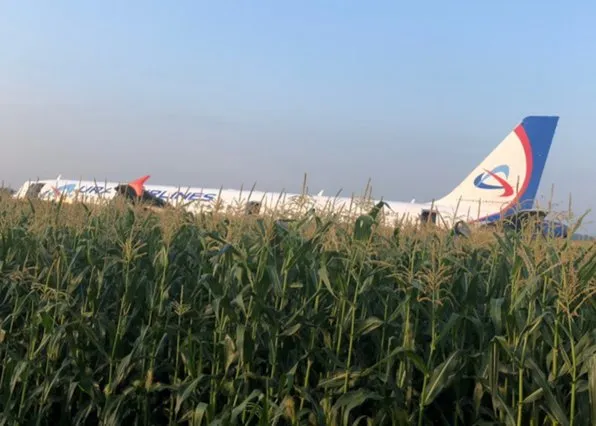 Фотография из галереи