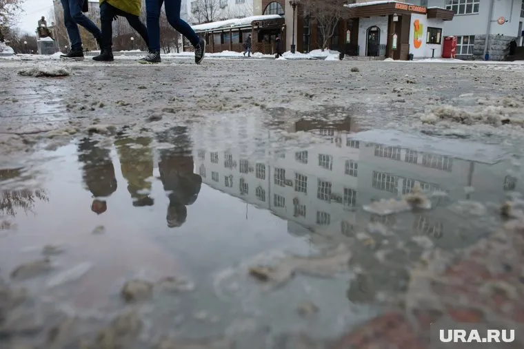 В южных городах ЯНАО 23 декабря ожидается потепление до 0 градусов