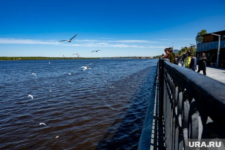 Начало короткой рабочей недели начнется с потепления до +23°C