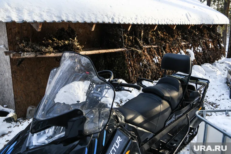  Водитель снегохода врезался в мост и погиб (архивное фото) 