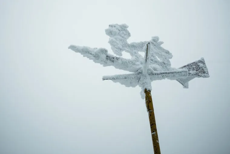 Буддистский монастырь Шедруб Линг. Качканар, флюгер, указатель ветра