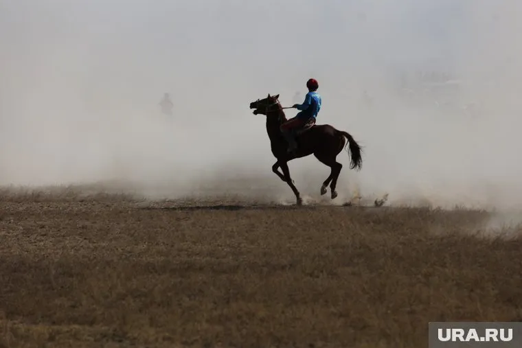 Конные клубы в Нижневартовске проведут акцию по сбору средств для мобилизованных