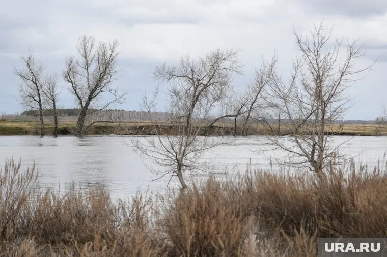 Синоптики предупредили, что ожидаемые осадки усугубят паводок