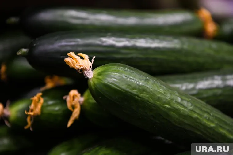 Свердловчанка убила друга ножом, которым нарезала огурцы