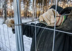 Застройщик обвинил защитников Березовой рощи в экстремизме