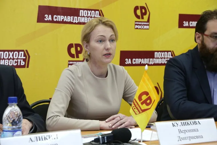 Пресс-конференция Пермского регионального отделения партии Справедливая Россия. Пермь, куликова вероника