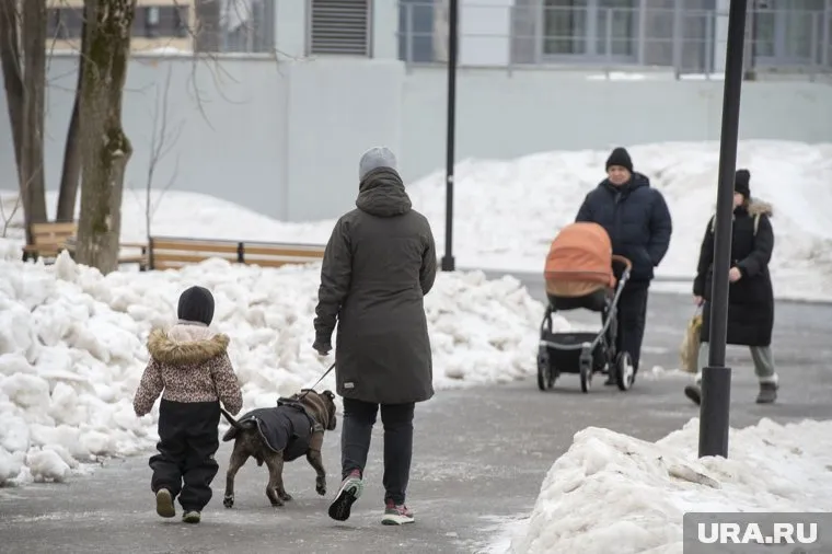 Погода будет теплая, но ветреная