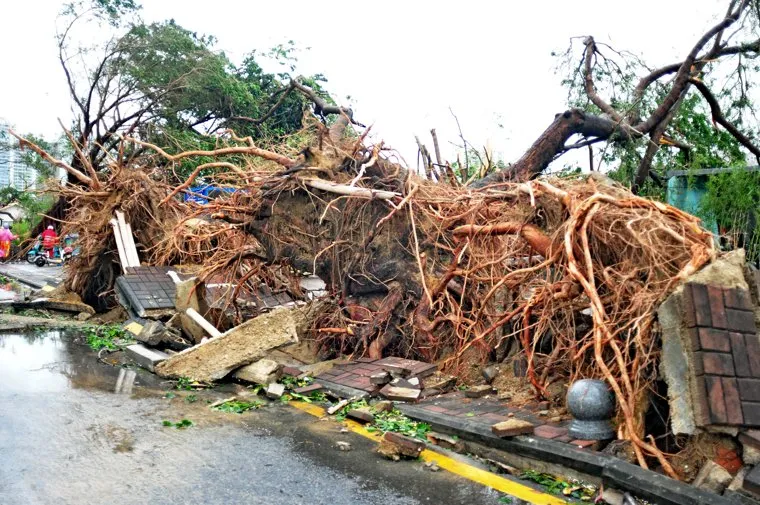 На Хайнане из-за тайфуна застряли российские туристы