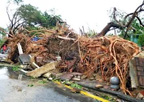 Со скоростью 200 км/ч: тайфун «Каджики» обрушился на Китай и Вьетнам