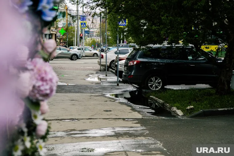 Дожди по всей области пройдут с 22 по 24 мая