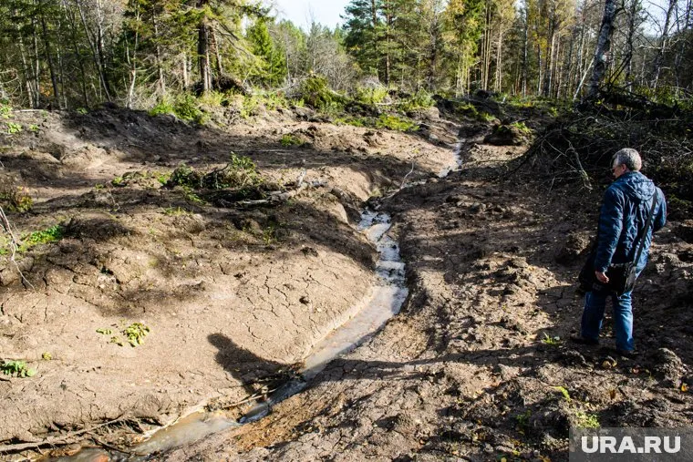Причины землетрясений в разных местах страны отличаются друг от друга