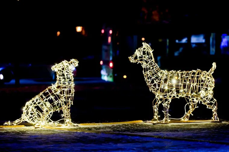 Новогоднее оформление. Тюмень