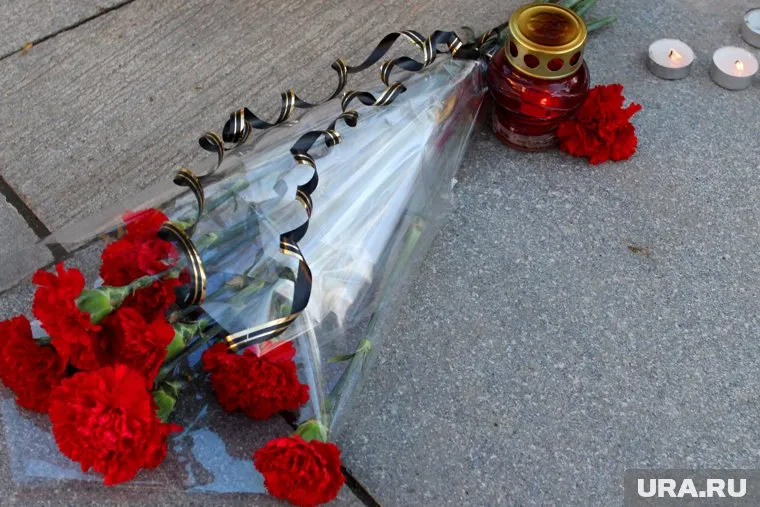 В КНДР вспомнили о Карлове