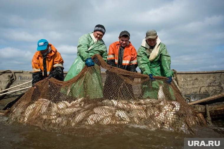Шестаков заявил, что экспорт рыбы в 2024 году нужно увеличить до 5,6 млрд долларов