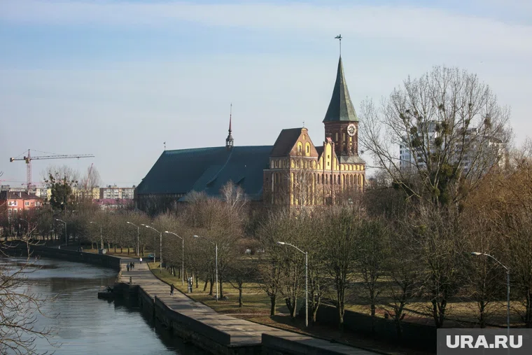 Контроль за отправляющимися в Калиниград через Литву усилят