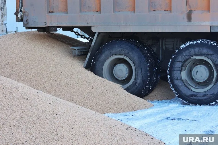 Большую часть зернового экспорта Тюмени составляют пшеница и ячмень