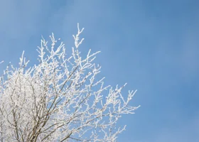 Морозы ожидаются в трех округах России