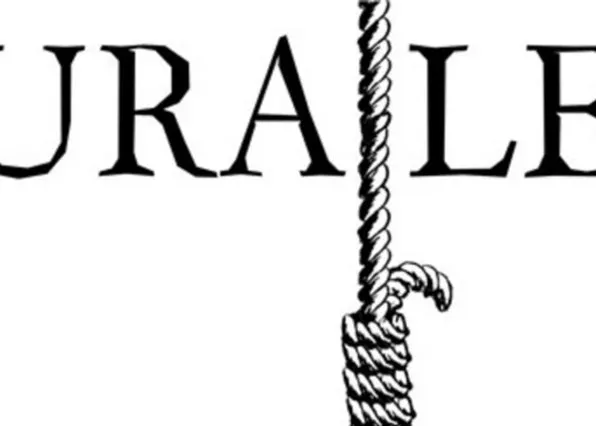 Фотография из галереи