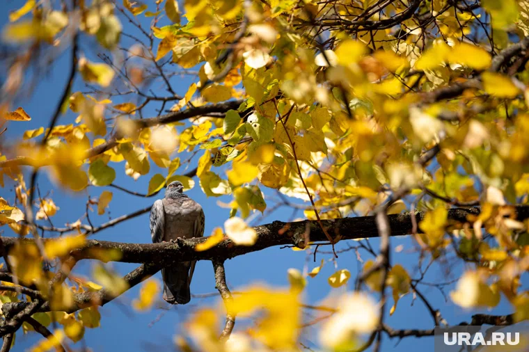 Первую половину месяца будут отличать не только минимальные осадки, но и большое количество солнечных дней