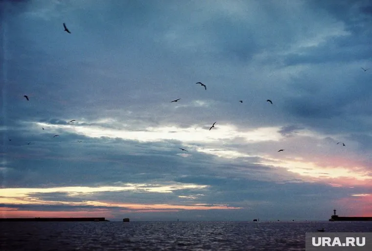 Три беспилотника были сбиты над Черным морем (фото из архива)