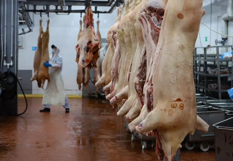 Визит врио губернатора Шумкова в Юргамышский район