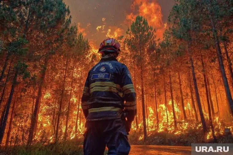 Поля горят в трех городах Кузбасса из-за ураганного ветра