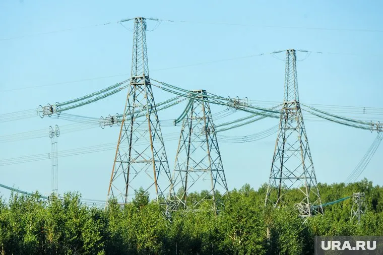 Сети не несут опасности для российских лесов