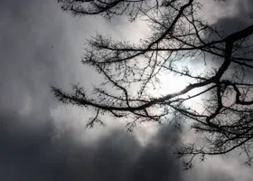 Народные приметы на 21 ноября: как не навлечь беду на Михайлов день