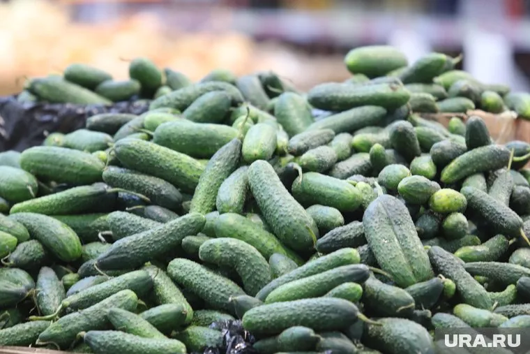 Свежие огурцы сильно выросли в цене и стали предметом спора пермяков
