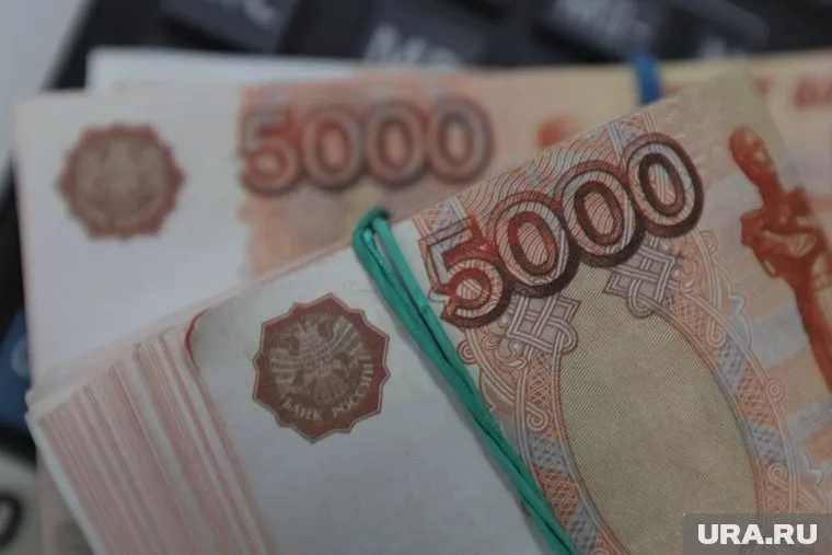 Пермяк хотел купить прицеп по индивидуальному заказу