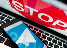 Фотография из галереи