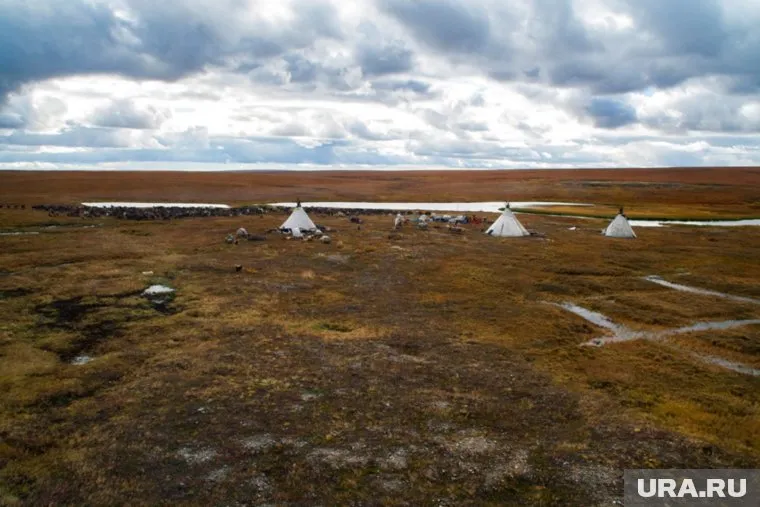 Основатель «Додо пиццы» Федор Овчинников провел полгода в ямальской тундре, кочуя с оленеводами