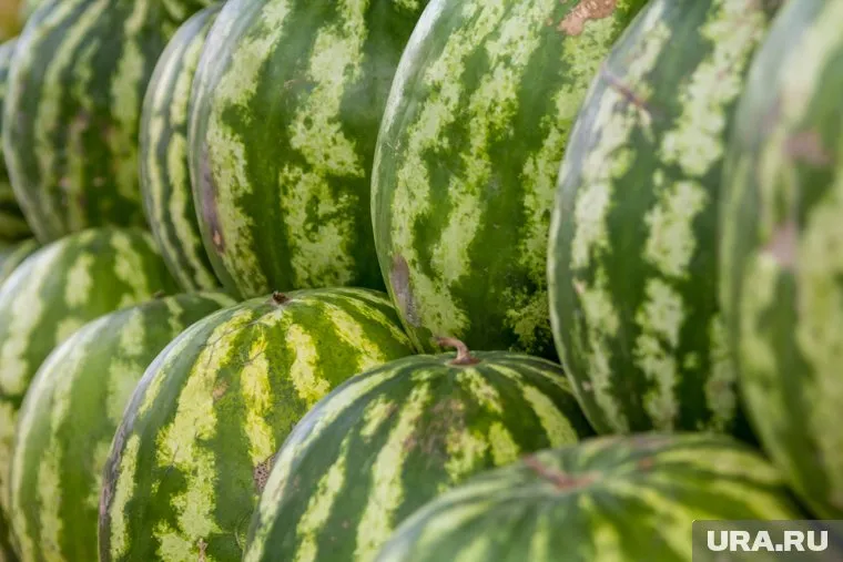 Отличить плохой арбуз можно по цвету мякоти