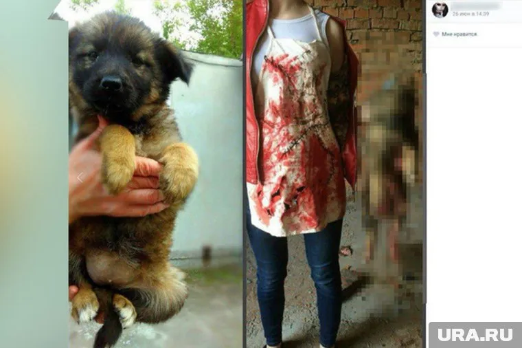 Жуткие фотографии всколыхнули всю страну