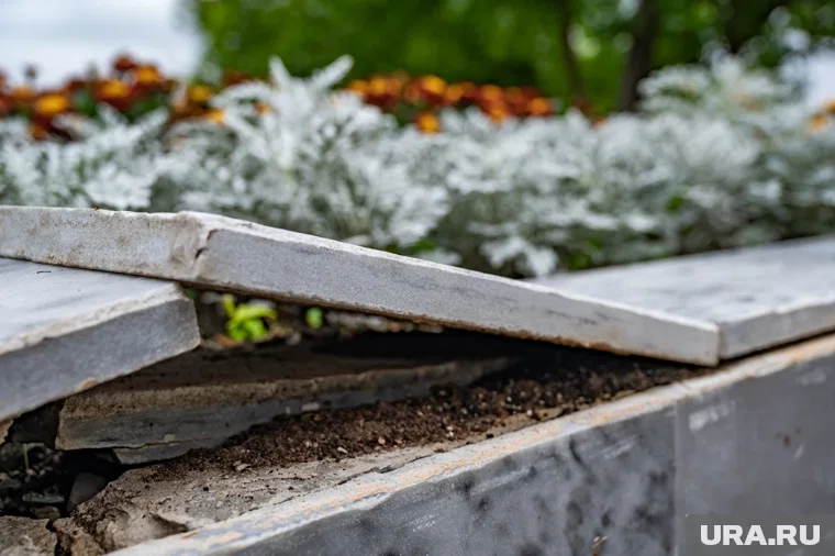 У здания администрации выкопаны цветы из клумбы